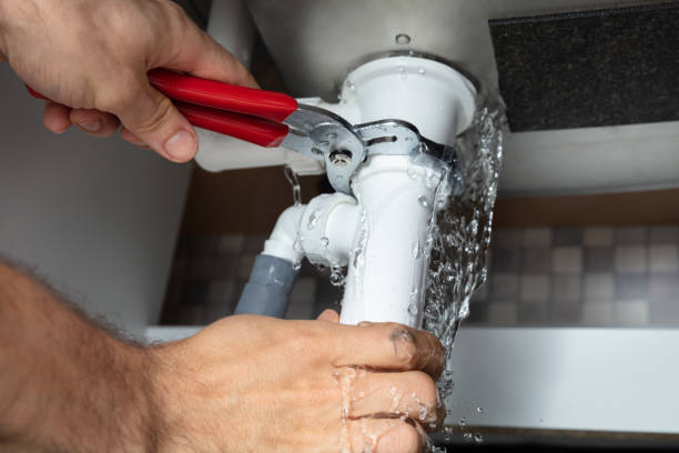Best Professional water damage repair  in Scott City, KS