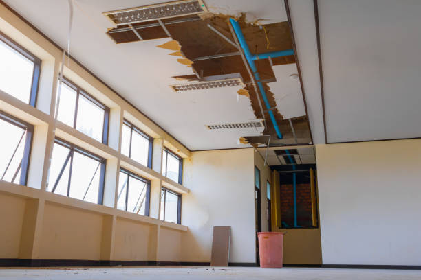 Best Local water damage restoration  in Scott City, KS