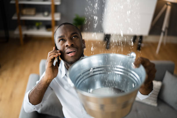 Best Mold removal after water damage  in Scott City, KS
