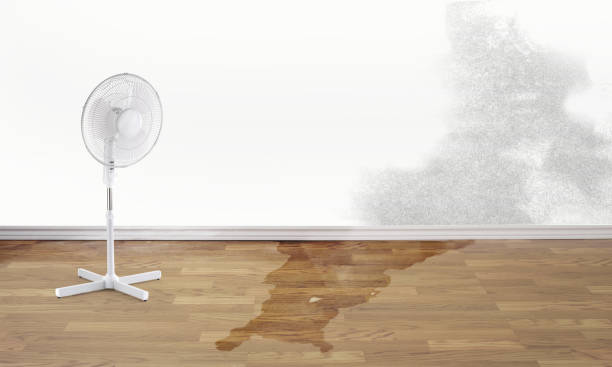 Scott City, KS Water damage restoration Company