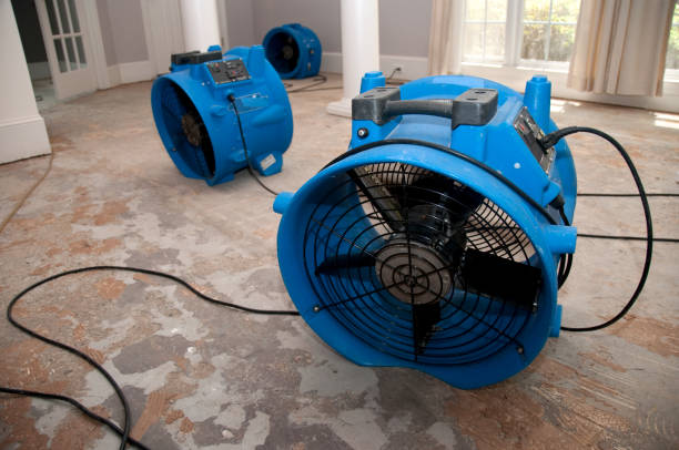 Best Flood damage cleanup  in Scott City, KS