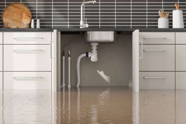 Best Water damage cleanup near me  in Scott City, KS