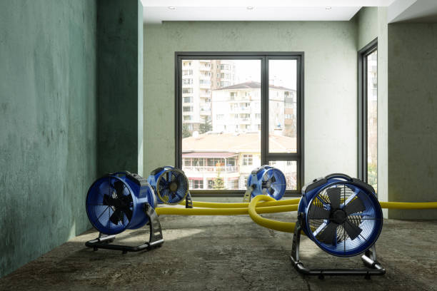 Reliable Scott City, KS Water damage restoration Solutions